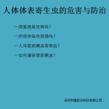 阴虱 头虱 螨虫 疥疮 头发上白色管状物 剪发虫 卷发虫的危害与防治